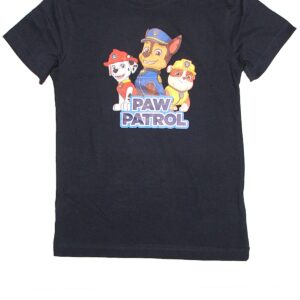 Kids Wear | Boys Character Printed T-Shirt (Half Sleeves)